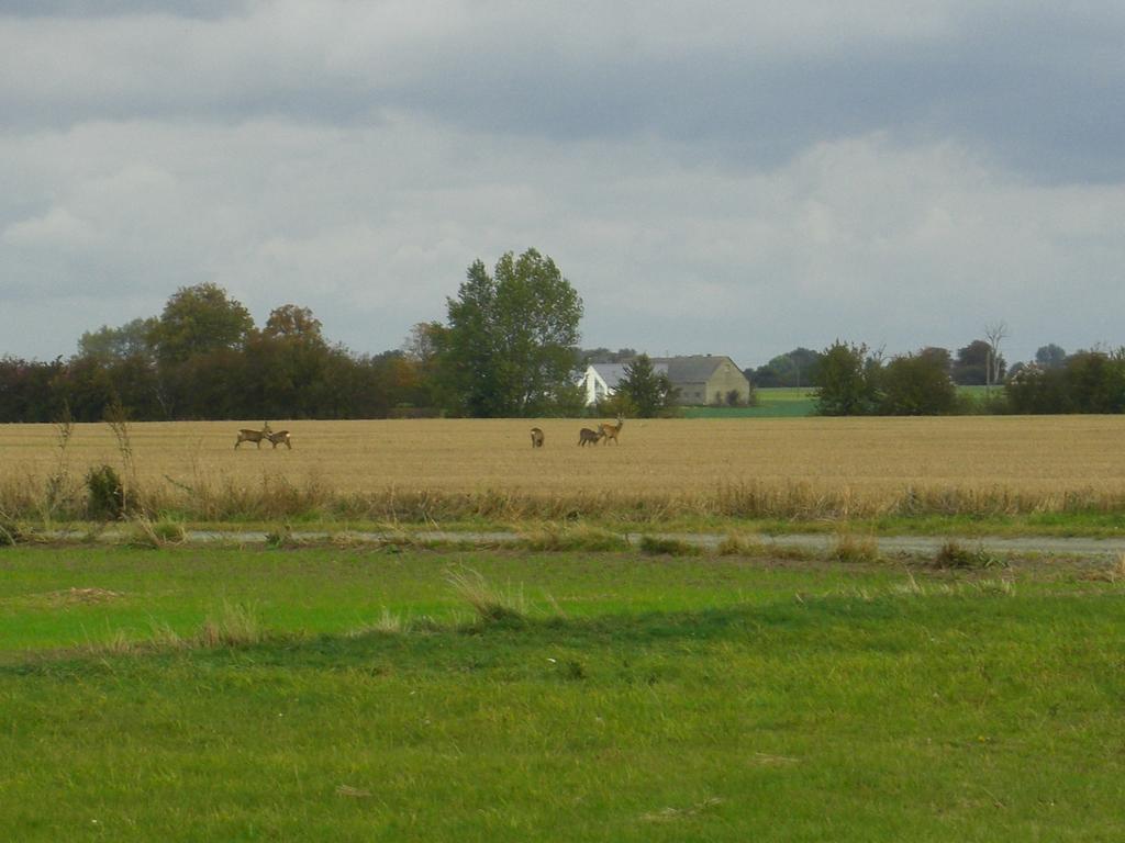 Hagestad 47 Löderup Buitenkant foto