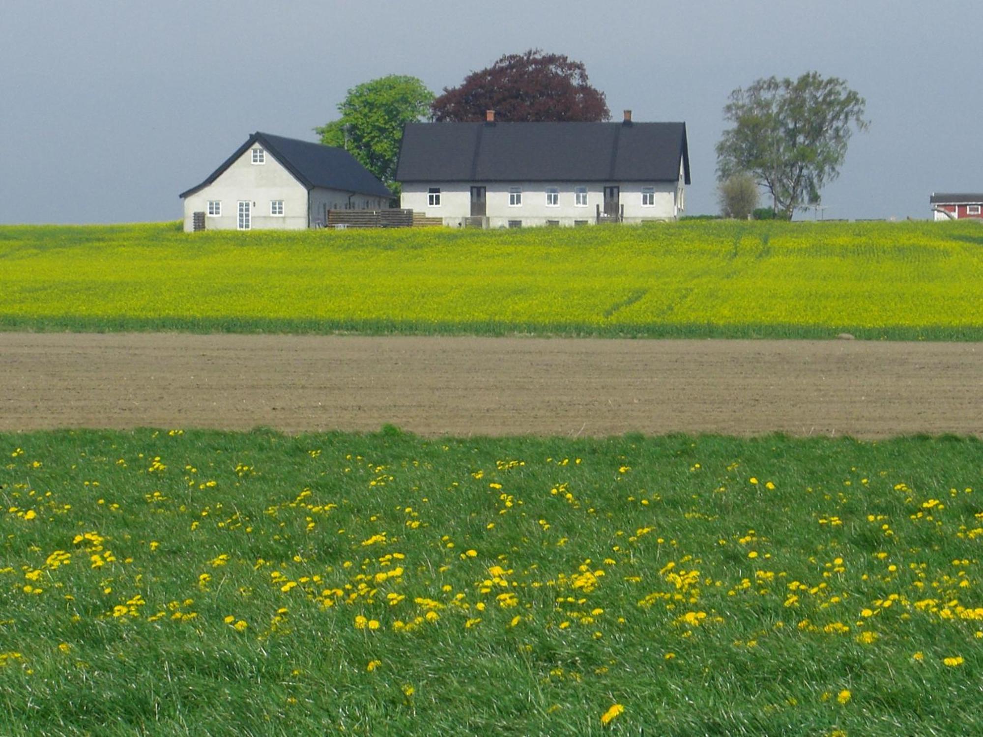 Hagestad 47 Löderup Kamer foto