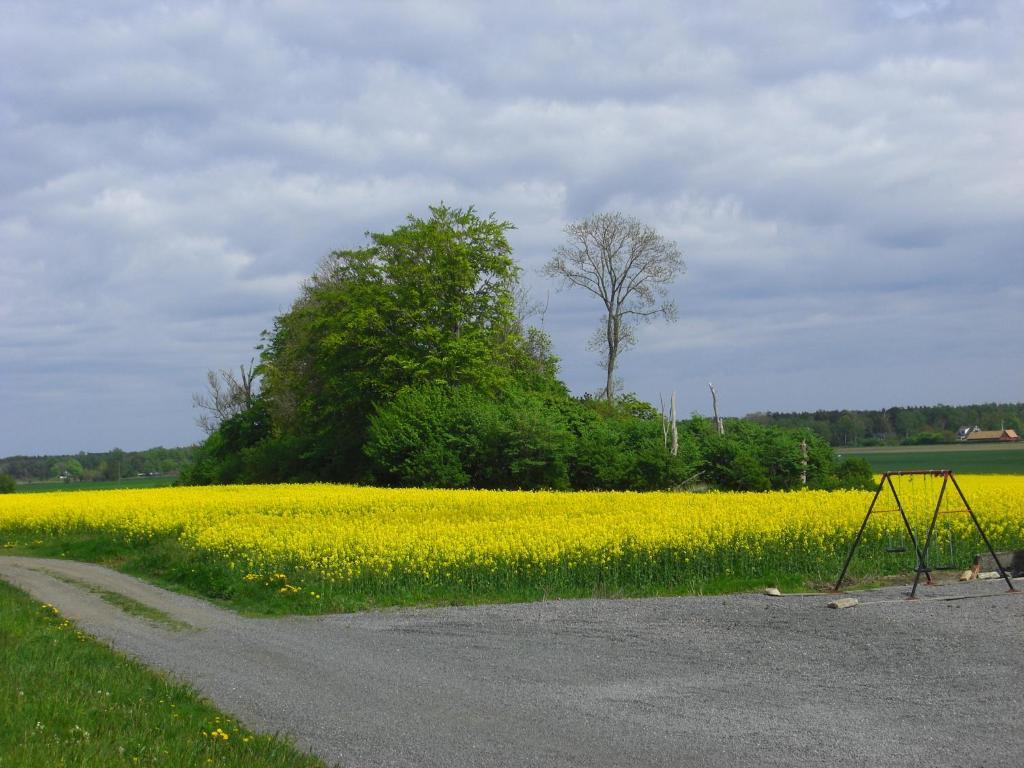 Hagestad 47 Löderup Buitenkant foto