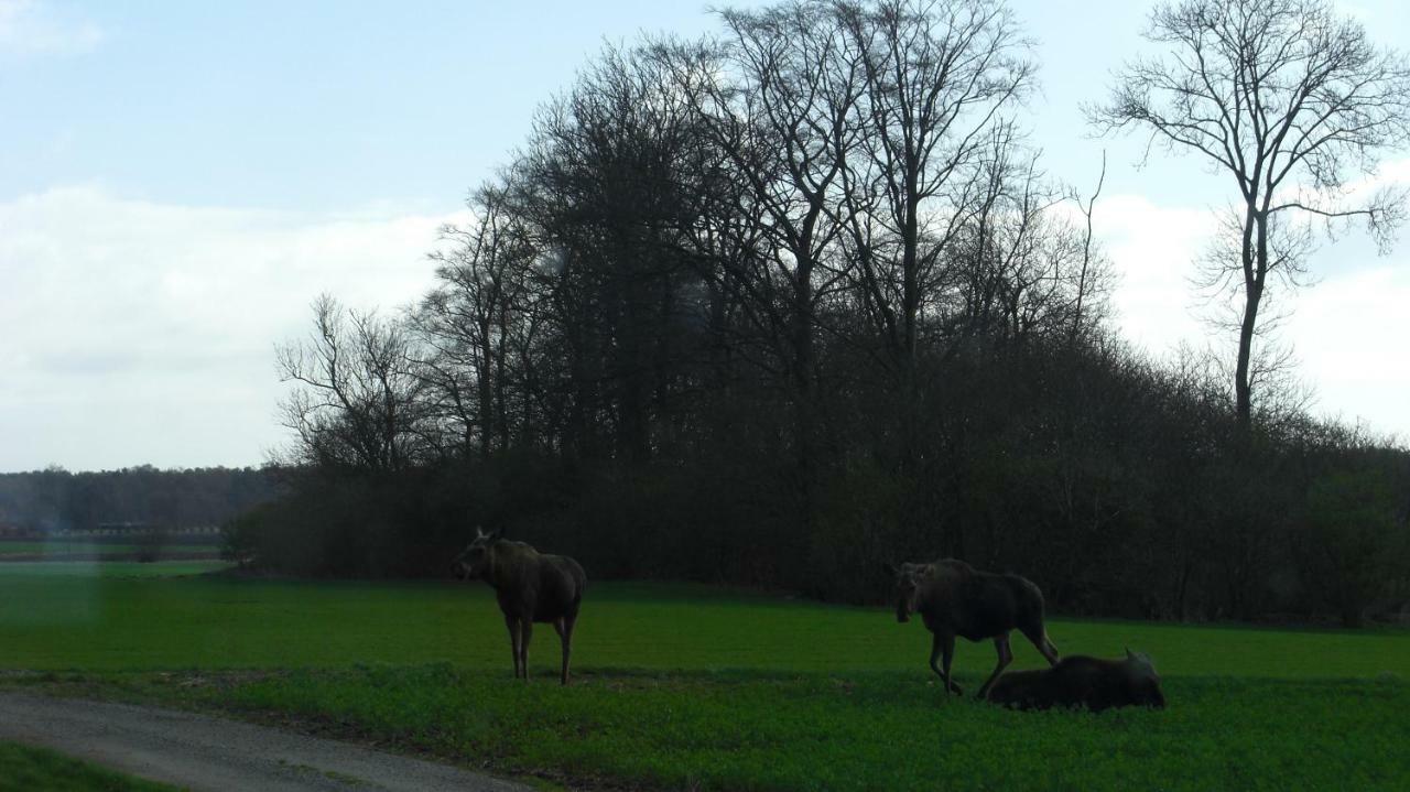 Hagestad 47 Löderup Buitenkant foto